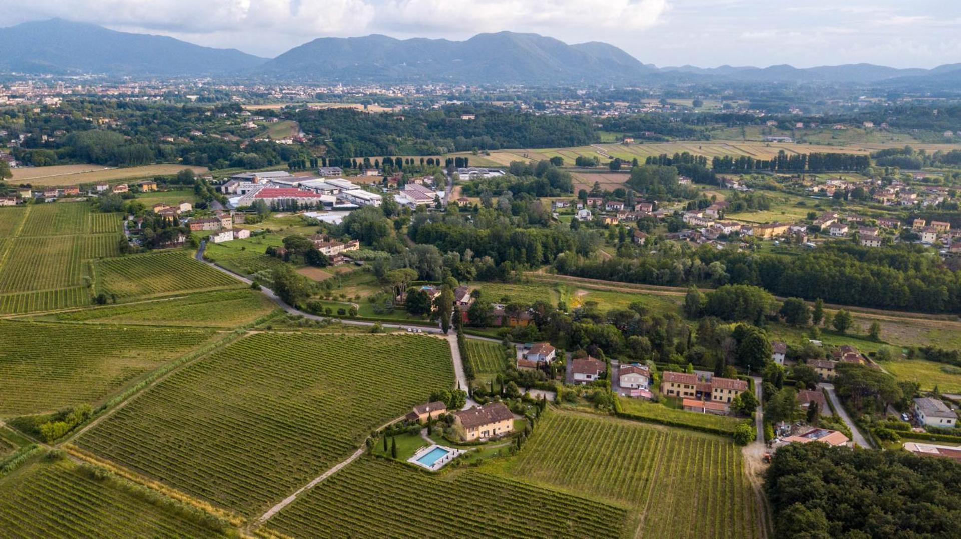 Cicale 3 Bedrooms Farmhouse With Shared Pool Lucca Eksteriør bilde